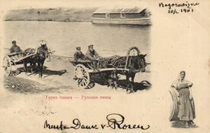 Русские типы .Корреспонд.Борона Розена ― Лучший магазин по коллекционированию pugachev-studio.ru