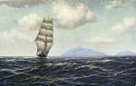Морской флот