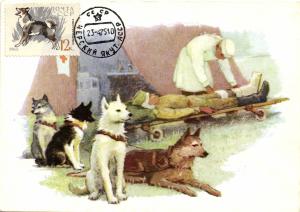 Санитарные ездовые собаки ― Лучший магазин по коллекционированию pugachev-studio.ru