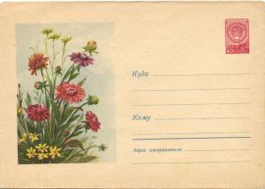 Худ.Маркированный конверт 1959 г. №896 ― Лучший магазин по коллекционированию pugachev-studio.ru