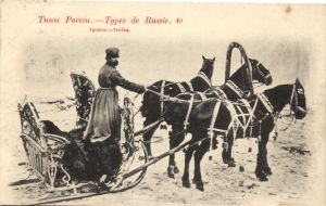 Русские Типы № 40 ― Лучший магазин по коллекционированию pugachev-studio.ru
