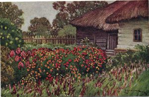 Е.Вержещъ ― Лучший магазин по коллекционированию pugachev-studio.ru