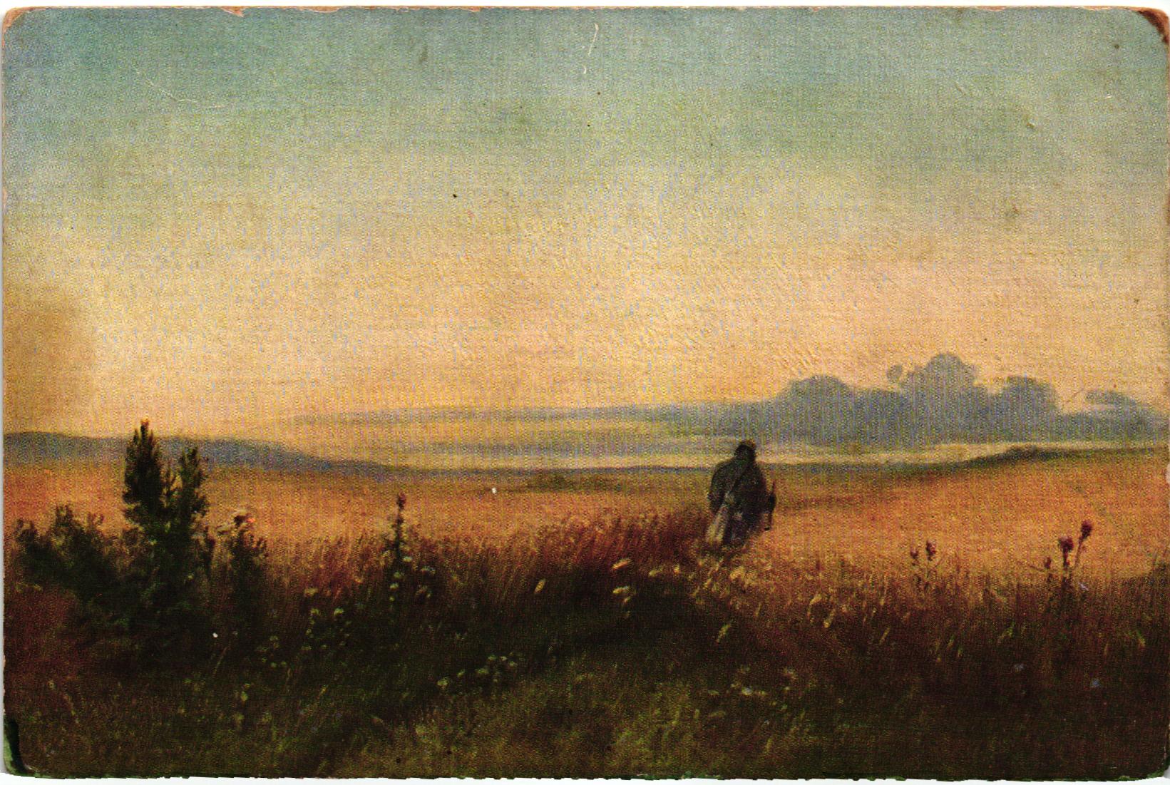 Странник в поле